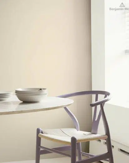 Benjamin Moore Color Trends 2022 Palette - Image 13