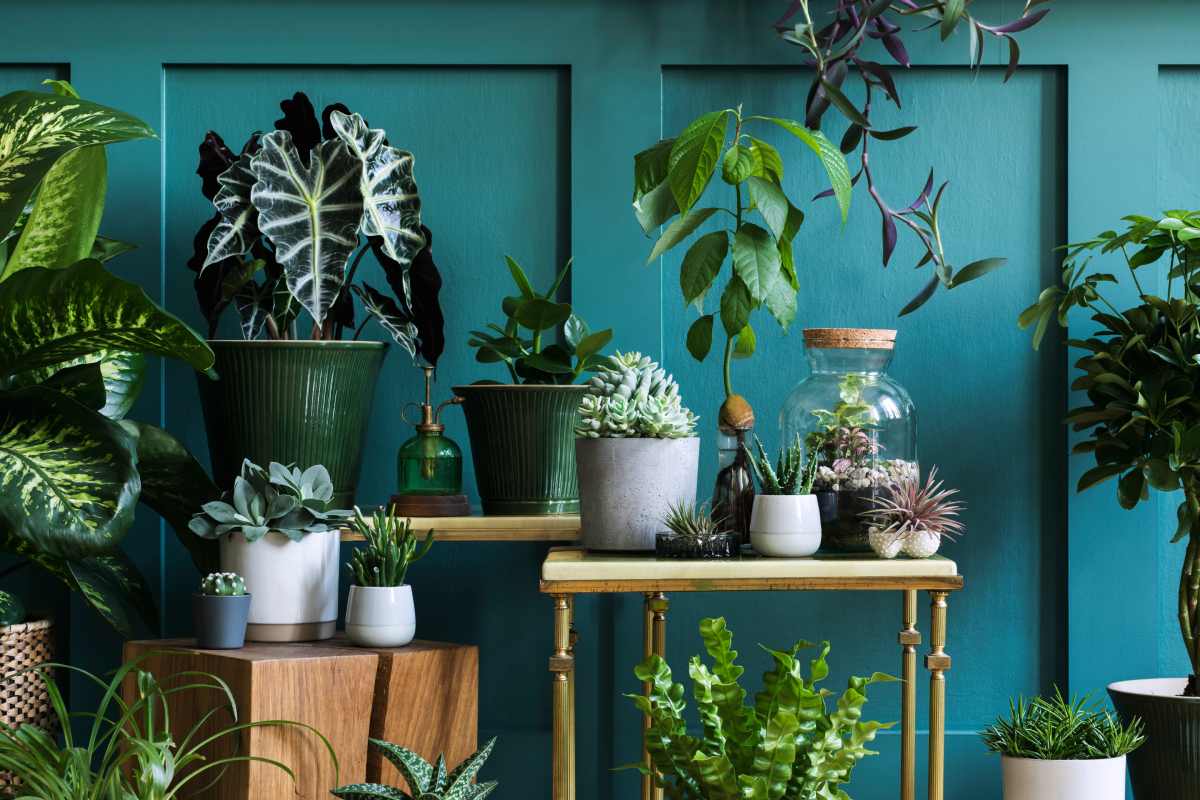 Shades of Green Paint Plant Lovers Will Adore