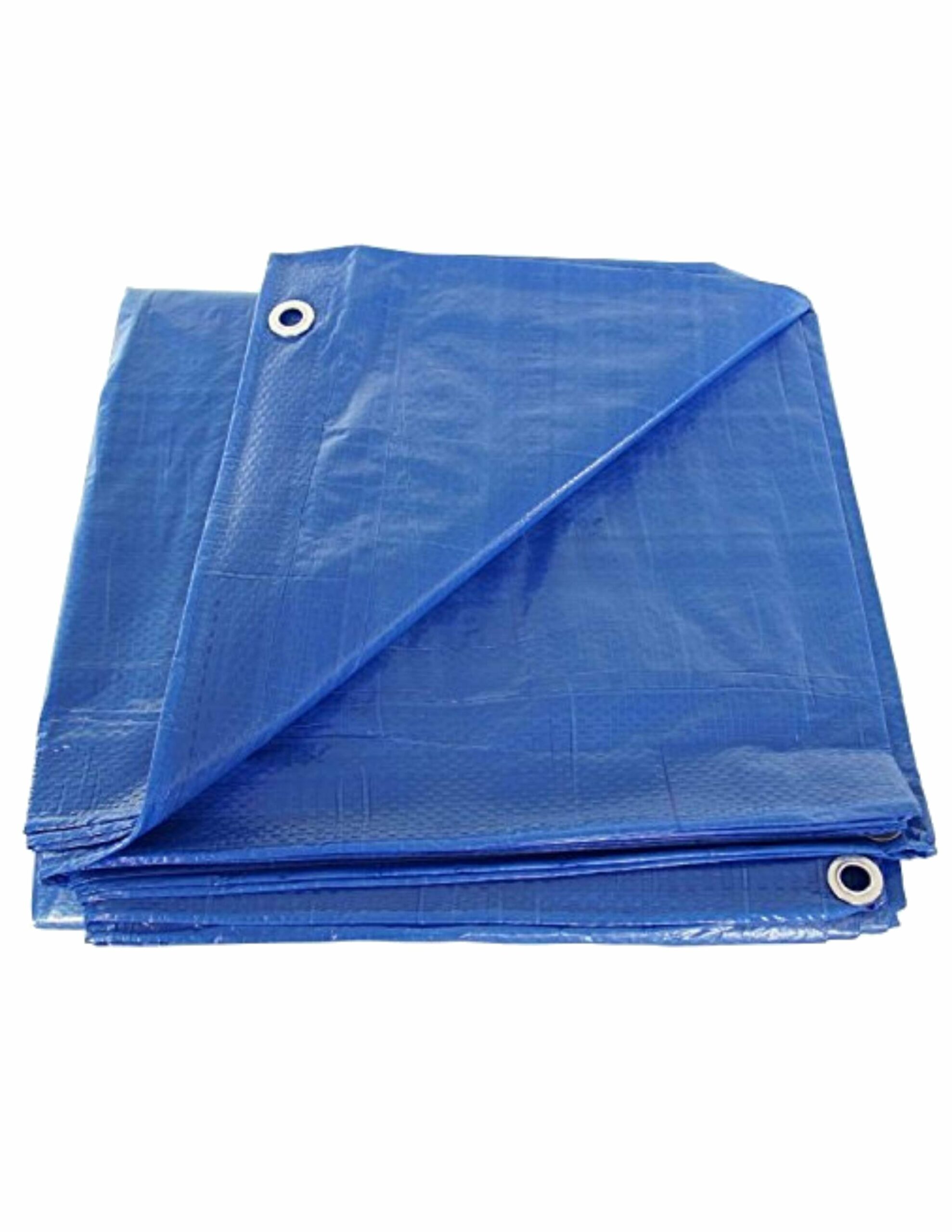 Blue Tarp