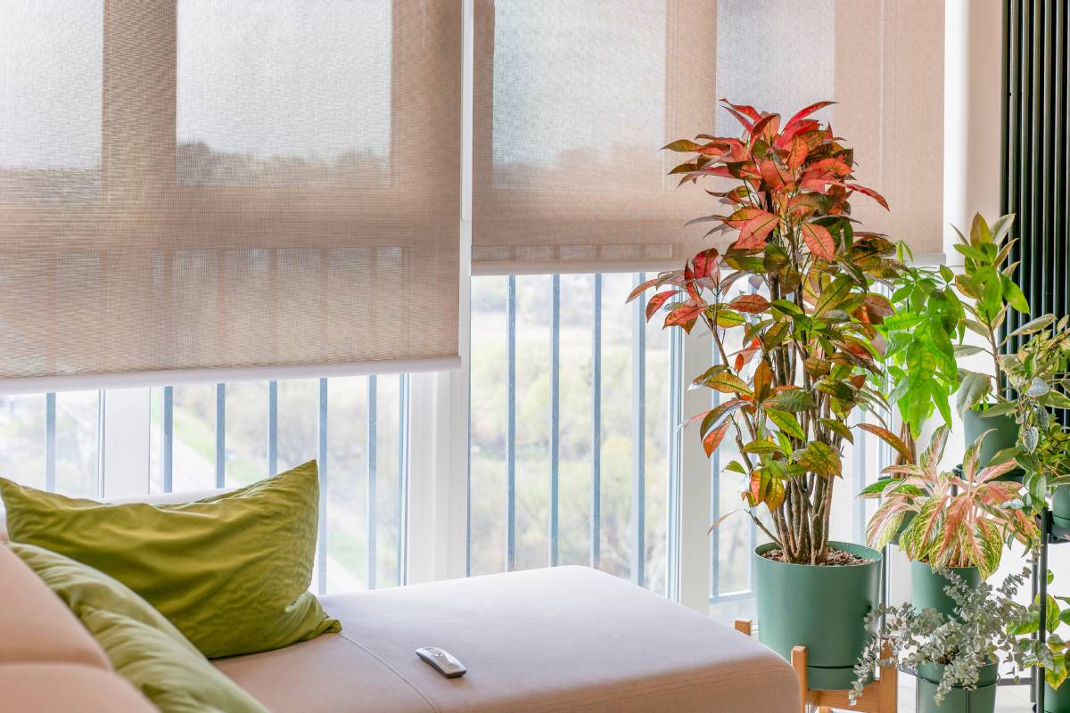 The Best Light-Filtering Window Shades for Plant-Friendly Interiors