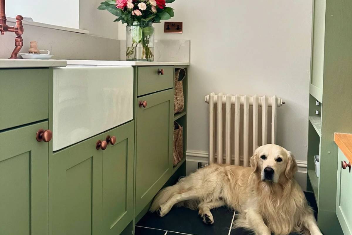modern-farmhouse-kitchen-with-green-farrow-ball-paint-on-the-cabinets-1200px Modern Farmhouse Kitchen with Green Farrow & Ball Paint on the Cabinets at Janovic near New York City, New York (NY)