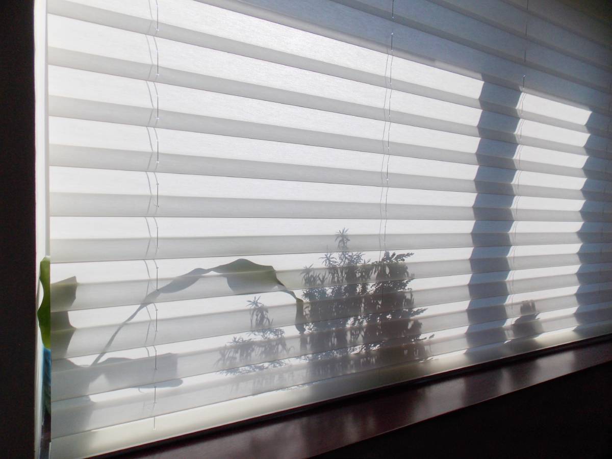 Cellular shades with silhouettes of plants as the sun shines through near New York City