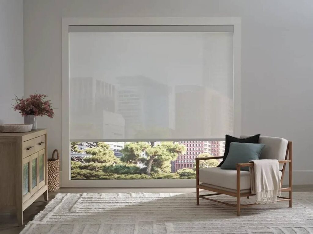 Hunter Douglas Designer Screen Shades in a Modern Living Room with a City View